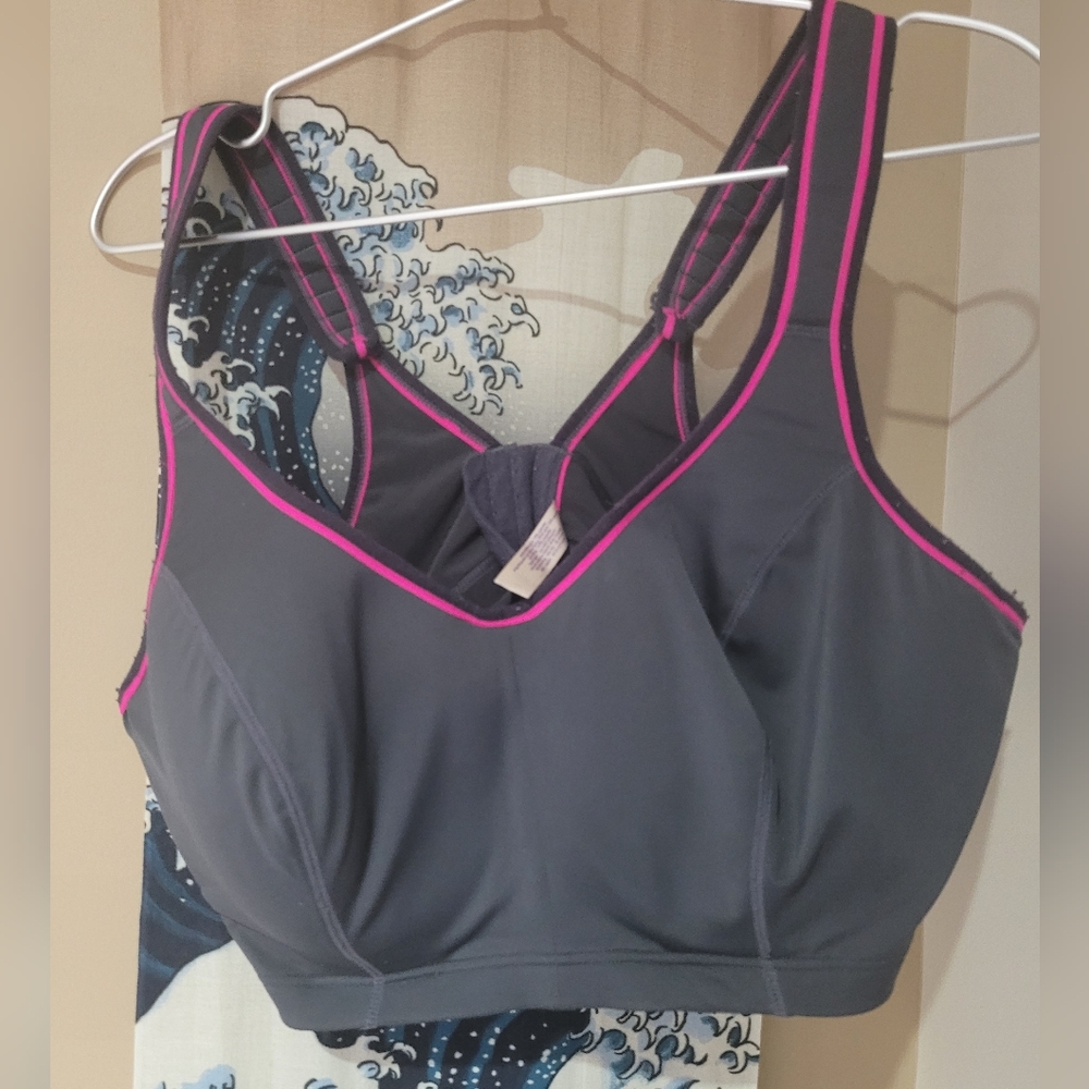 42dd lane bryant livi sports bra
